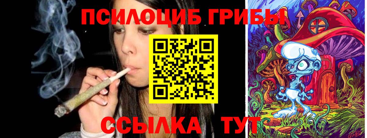 Ипатово  Галлюциногенные грибы Psilocybe  Псилоцибиновые грибы прущие грибы  Вход с VPN 